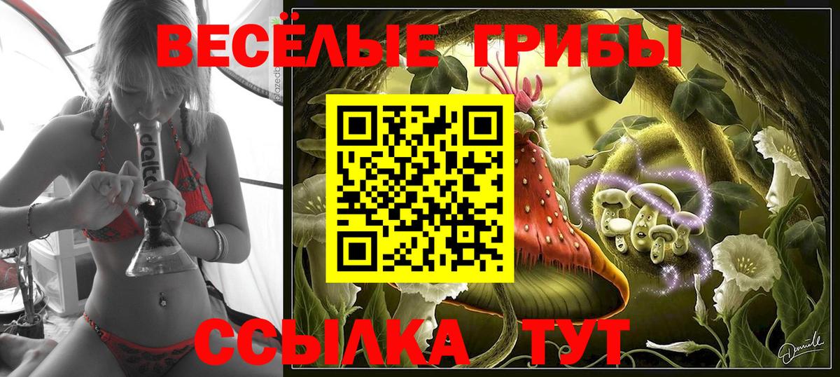 Галлюциногенные грибы Magic Shrooms  что такое наркотик  Псилоцибиновые грибы Psilocybe  Лосино-Петровский  Вход с VPN 