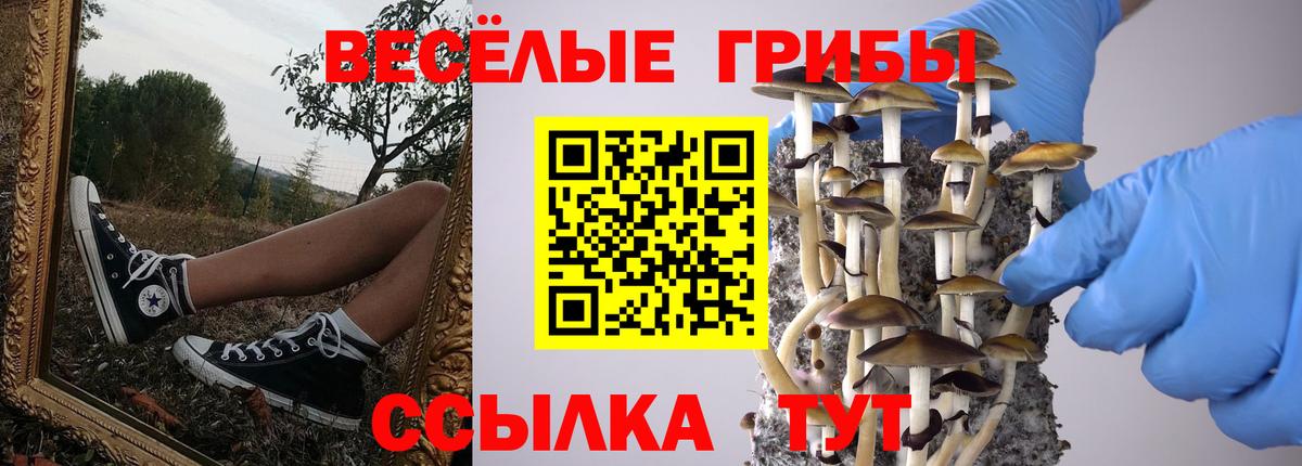 Галлюциногенные грибы Psilocybe Лосино-Петровский