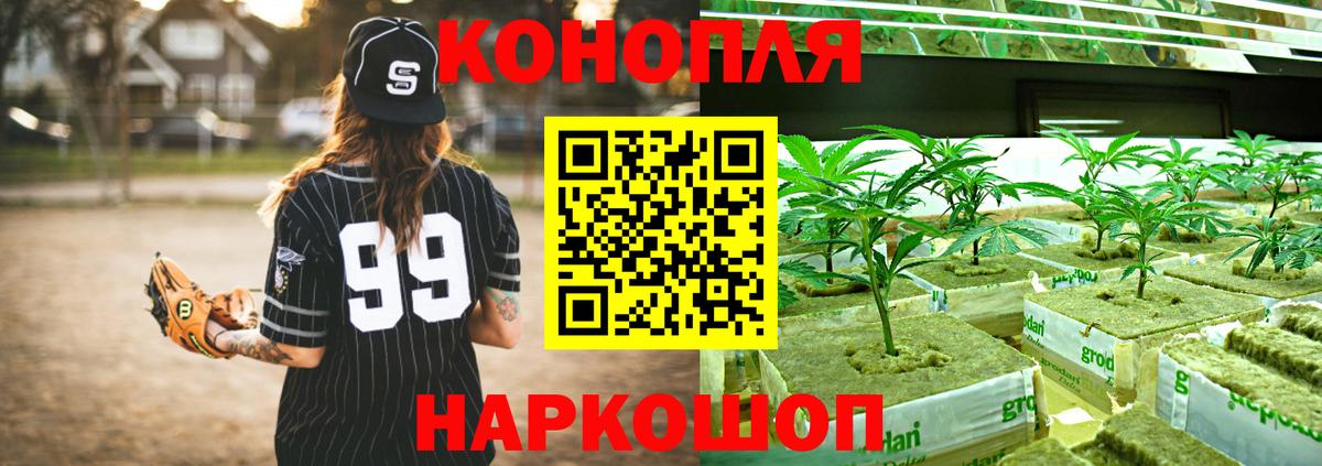 Каннабис индика Лосино-Петровский